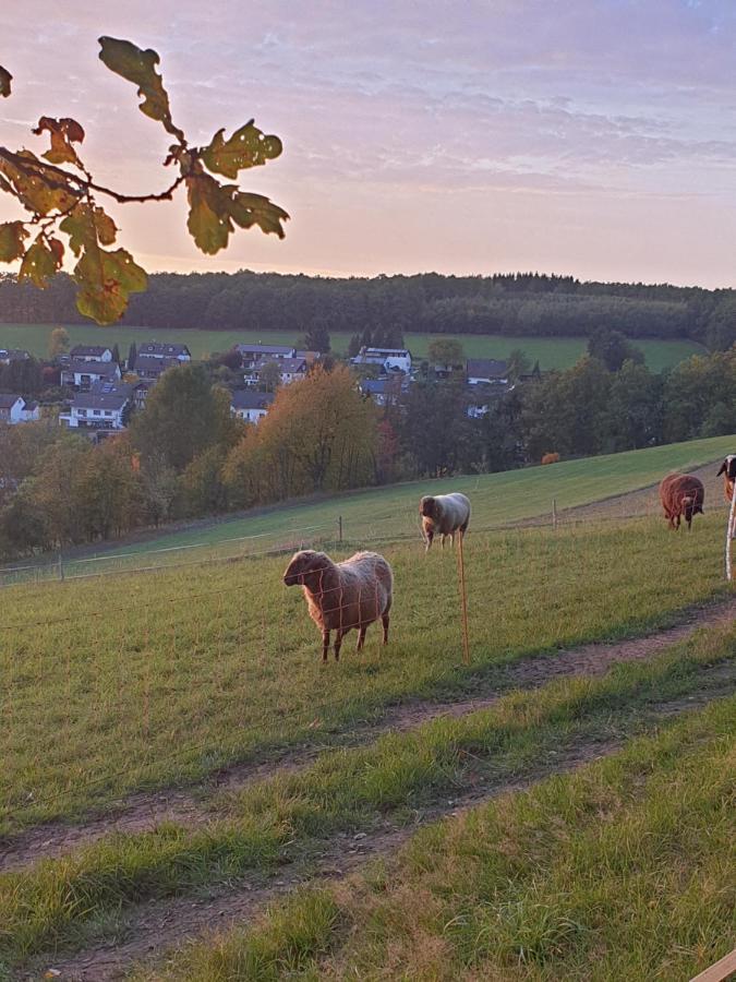 Andinas Ferienwohnung In Ruhiger Lage Direkt Am Wald Wilnsdorf Exteriér fotografie