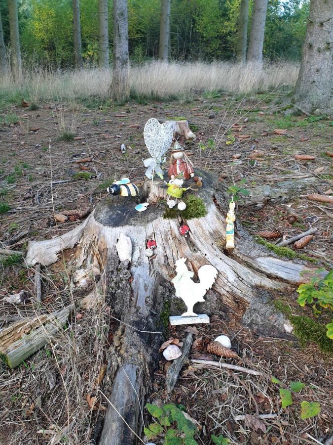 Andinas Ferienwohnung In Ruhiger Lage Direkt Am Wald Wilnsdorf Exteriér fotografie